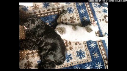 マジンガーZ/水木一郎/東文彦/渡辺宙明/ピアノ 高橋丈太郎