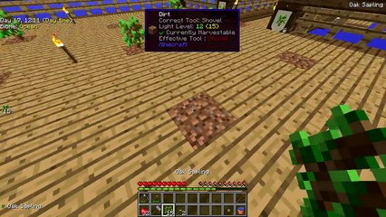 Minecraft -- Sky Factory 2 -- Progrese E02