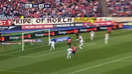 LOSC - Arles-Avignon 5-0 33ème journée (2010-2011)