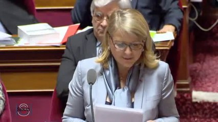 Joëlle Garriaud-Maylam - Coopération internationale en matière de renseignements