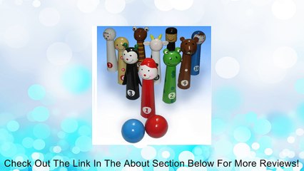 Passover Ten Plagues Bowling Pin Set Review