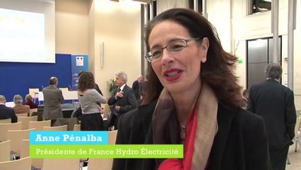 Nouveaux mécanismes de soutiens aux énergies renouvelables : la parole de France Hydro Electricité