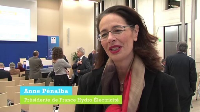 Nouveaux mécanismes de soutiens aux énergies renouvelables : la parole de France Hydro Electricité