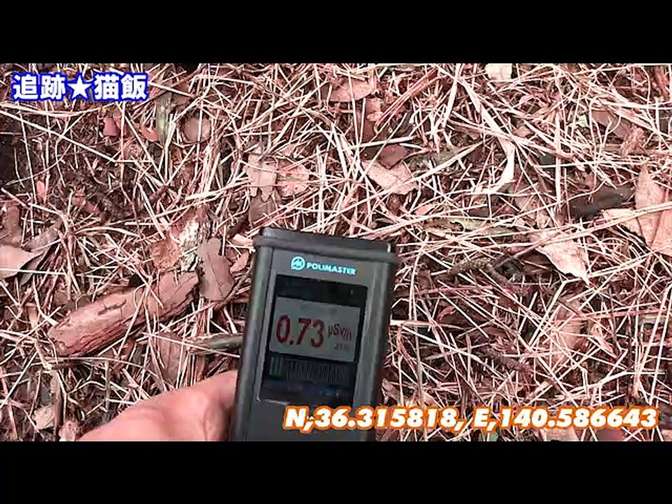 茨城のパワースポット