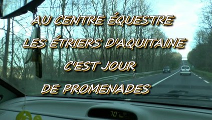 LES JOURNEES DE MICHOU64 W-D.D. - 14 JANVIER 2015 - PAU - N° 2 - C'EST JOUR DE PROMENADES AUX  ETRIERS D'AQUITAINE A  ASSAT.