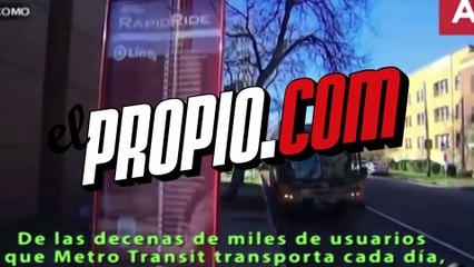 No te peles a esta perrita labrador que va al parque sola en autobús