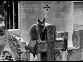 The Servants Of Mephistofelis - B4/ Invocation