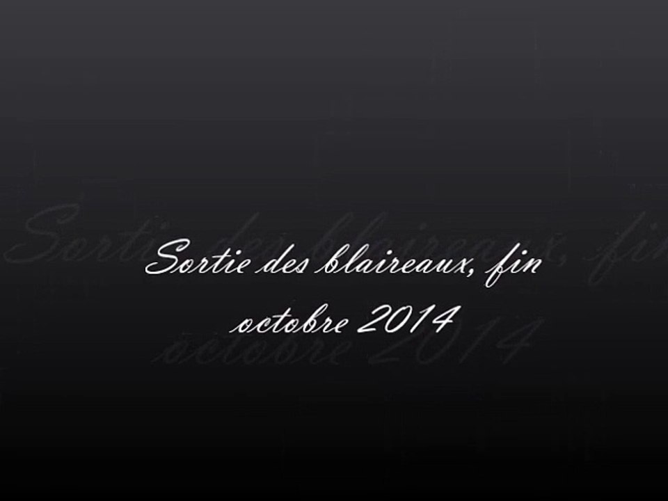 Sortie des blaireaux près du terrier, fin octobre2014