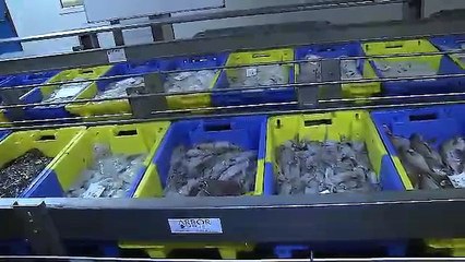 L'instant T de Tébésud du 16 janvier 2015