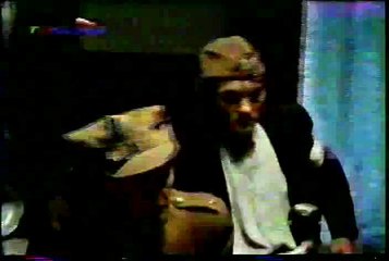 NEXT24.PL - Popielec [6]