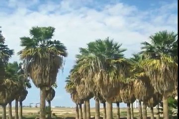 ISLAMIC VIDEOS The Life Of Prophet Muhammad