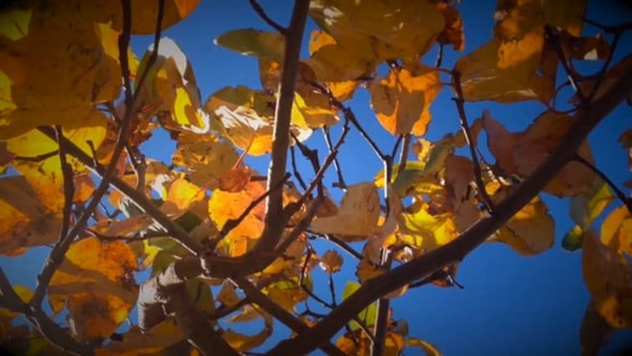 Piano music - "December Days" by Victoria M Music