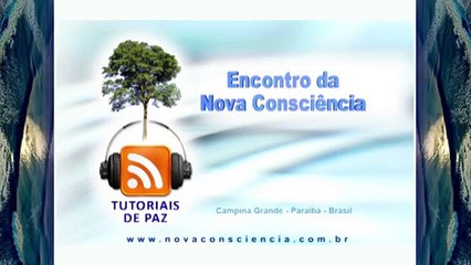 Crônicas da legalização das Drogas 2