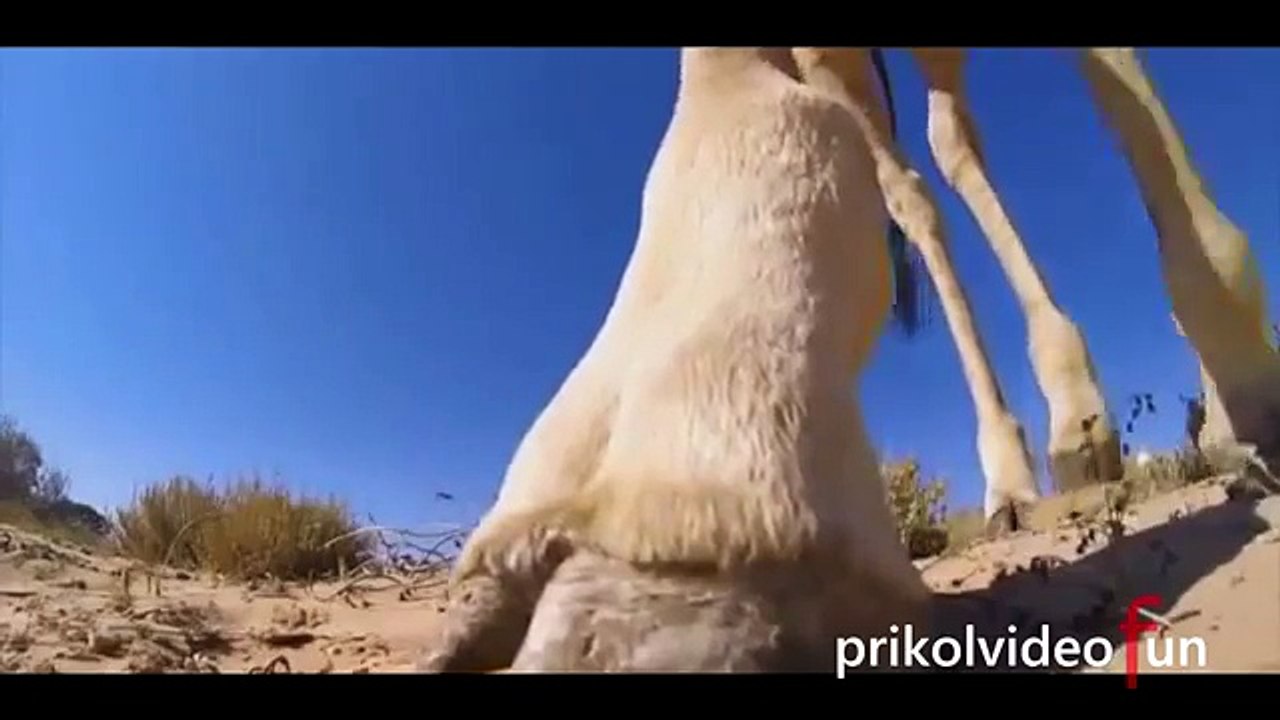 Funny Videos Fails fun Compilation