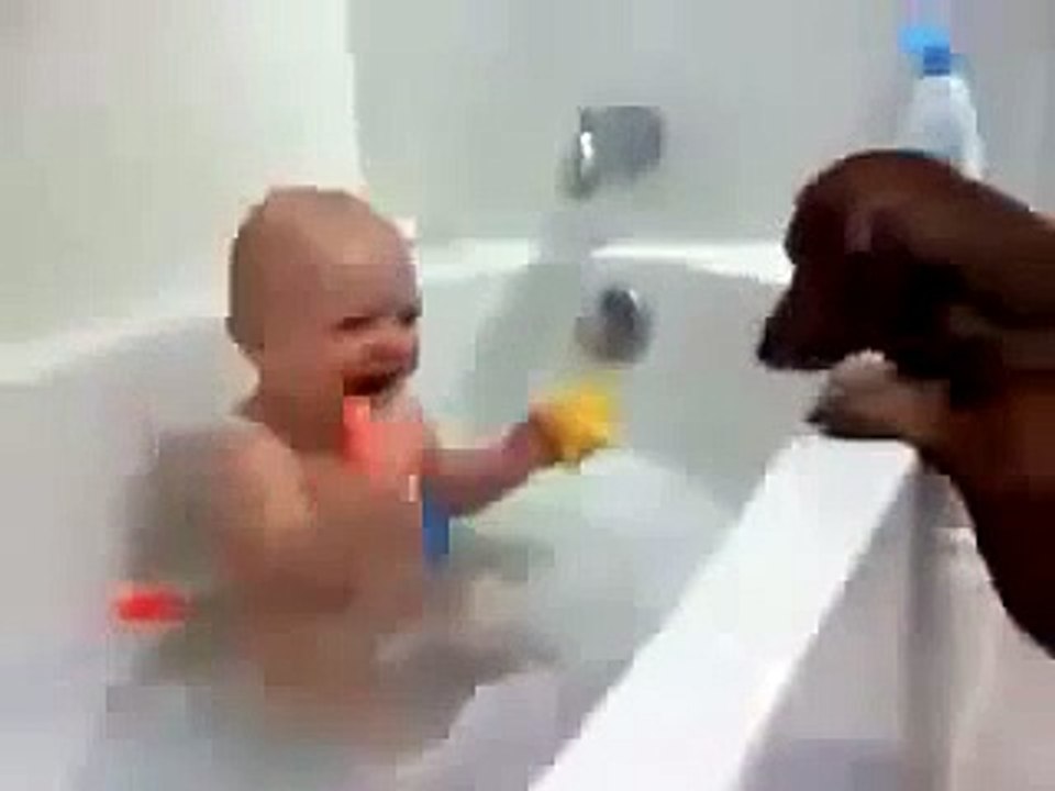 Funny Videos Funny Clips Funny Pranks Child Funny video with dogs