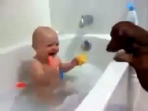 Funny Videos Funny Clips Funny Pranks Child Funny video with dogs