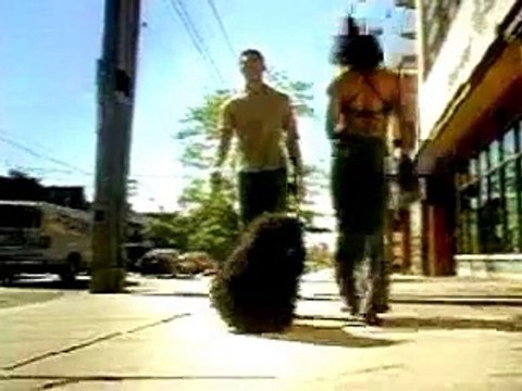 Pub Bud Light (Rasta)