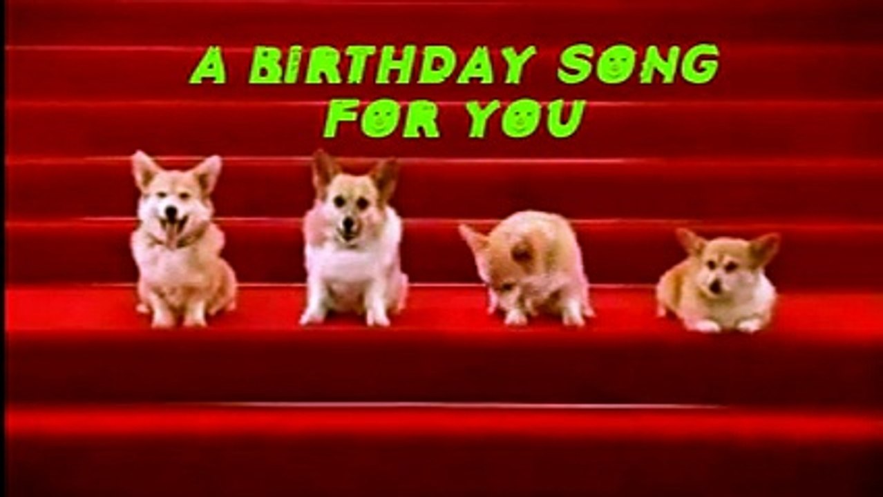 BDAY DOGS SINGS FOR YOU
