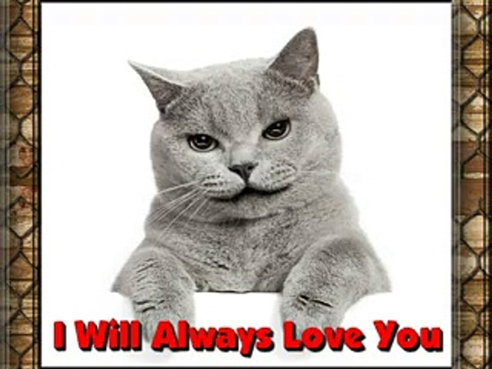 I Will Always Love You...