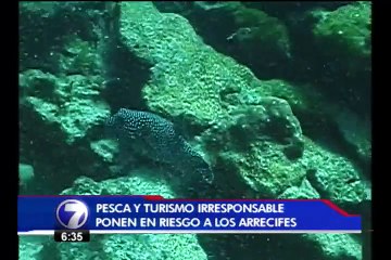 90% de los arrecifes desaparecerían por aumento de pesca indiscriminada