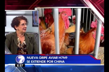 Ministerio de Salud toma previsiones por gripe H7N9