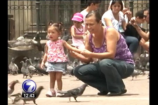 Plaga de palomas sería la responsable de inundación en el Castillo Azul