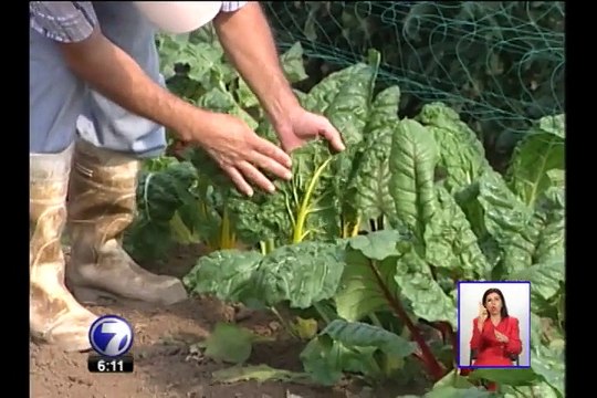 Productores podrán unirse a la agricultura orgánica con solo un click
