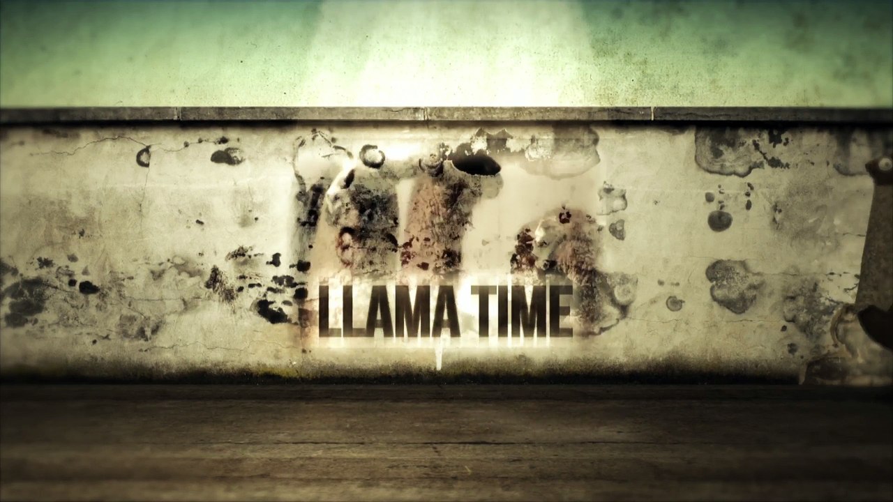 Llama Time - USE OF LANGUAGE