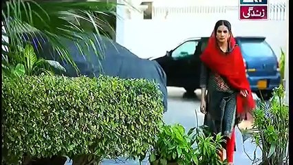 Bahu Begam Episode 103 Full on Ary Zindagi