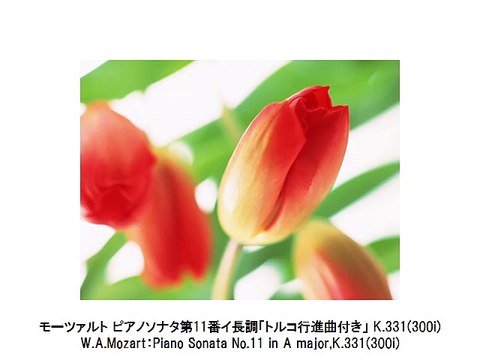 人気名曲ピアノソナタ集 1・Popularity, Famous, Piano Sonata Collection 1（長時間作業用クラシックBGM・CLASSIC）