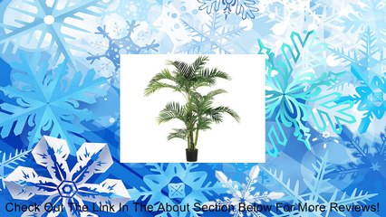 5' Tropical Kentia Palm Tree in Plastic Pot Green (Pack of 2) Review