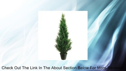 48" Cedar Topiary x1000 w/Pot Green (Pack of 2) Review