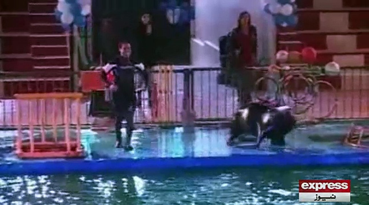 Dolphinshow Karachi
