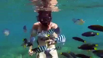 WOW! Latest Technology in your pocket!!