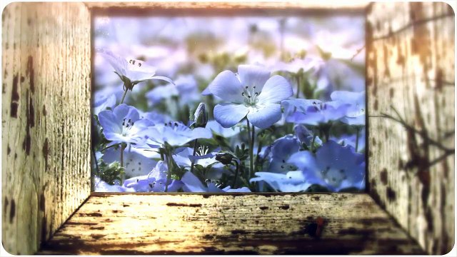 Рецепты здоровья Польза льняного масла для здоровья