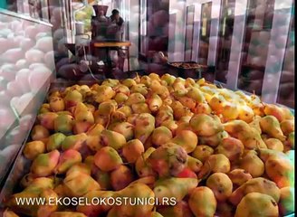 Fabrika zdrave hrane Grab u Kostunicima - Serbia