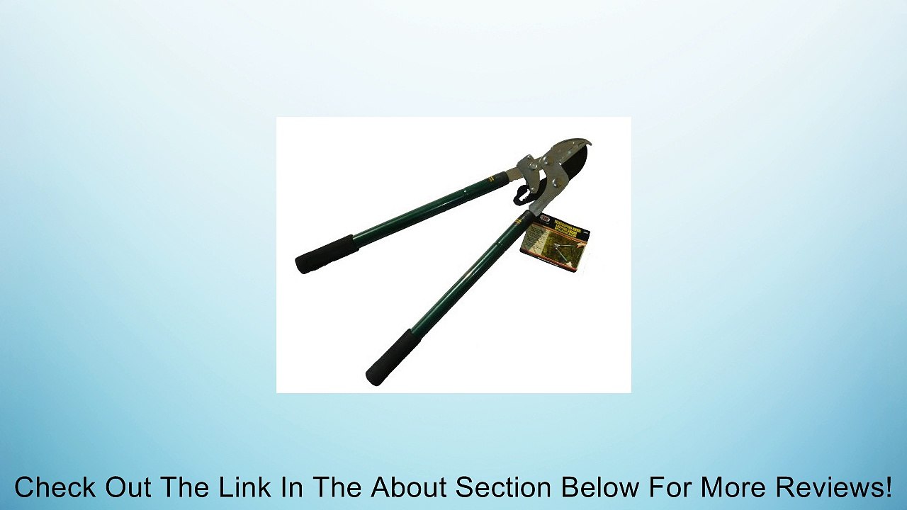 Telescoping Anvil Lopper Shears Review