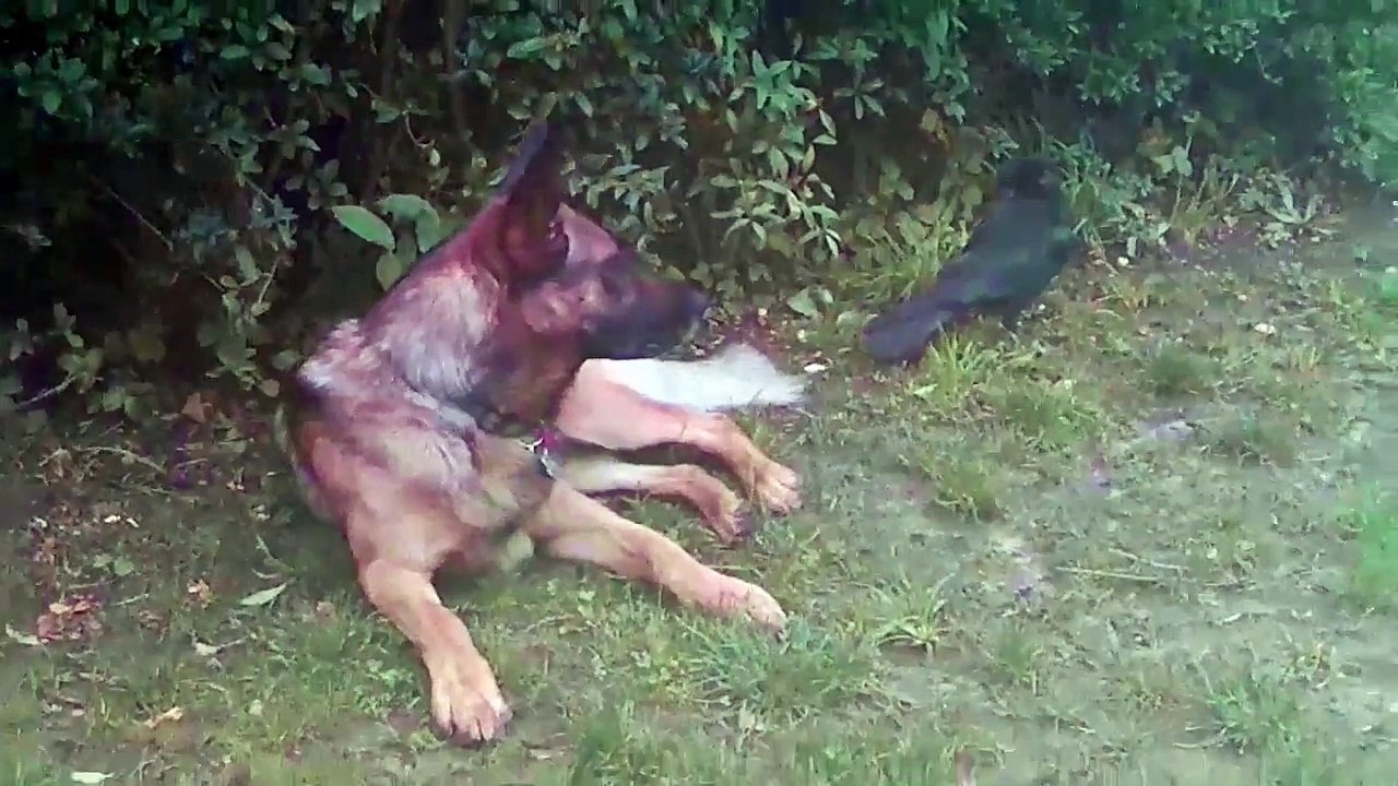 Jakob und Micki    Folge 1