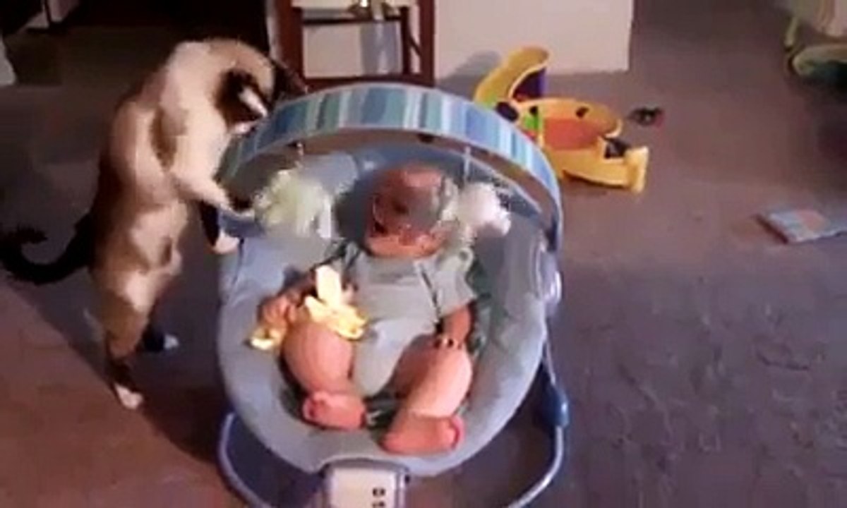 Cat Play with Baby