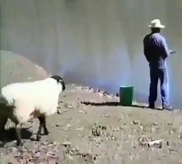 Got Hit The Man - MaxMasti