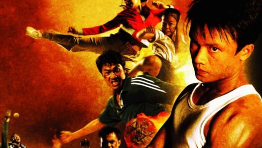 Born To Fight Full Movie Free