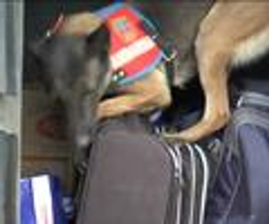 Keskin burunlar suçlulara geçit vermiyor