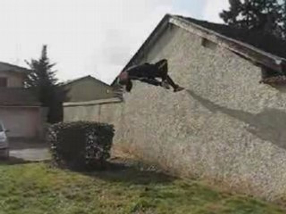 wallfip made in snake