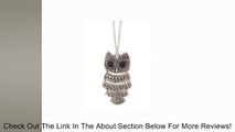 Mother's Day Gift - Vintage, Retro Owl Pendant and Chain with Antiqued Silver Tone Finish Review