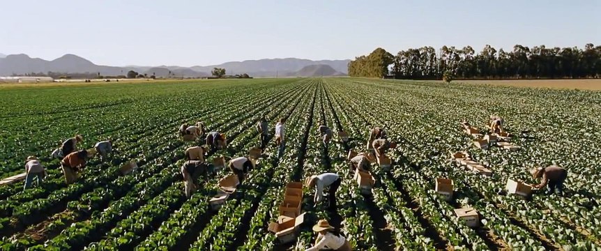 McFarland, USA Official Trailer #2 (2015) - Kevin Costner Movie HD