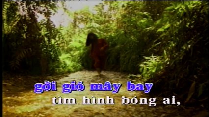 Tron Kiep Don Coi  - Tuan Vu