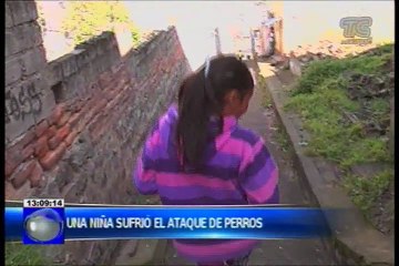 Una niña sufrió el ataque de perros