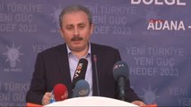Adana - Ak Partili Şentop: AK Parti'ye Muhalif Olanlar Türkiye'nin Hasımlarıdır