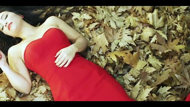 Aysel YAKUPOĞLU - Sen Gittin Ya- klip