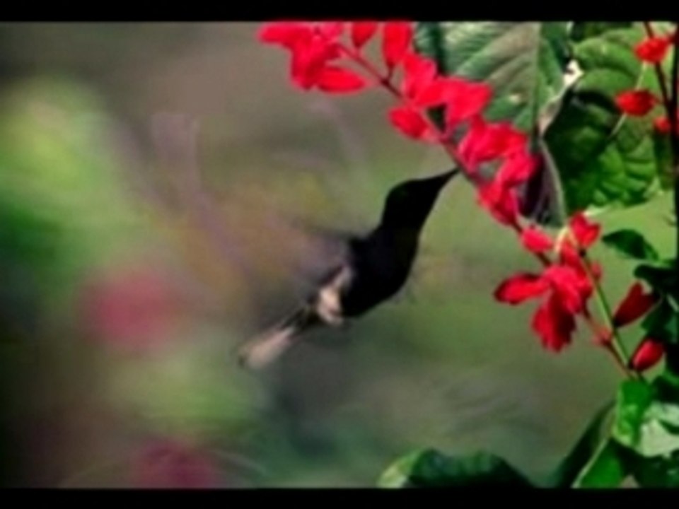 I LIKE YOU NOW AS YOU ARE